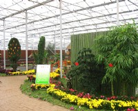 河南鄢陵花木交易城温室