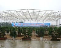河南鄢陵花木交易城温室