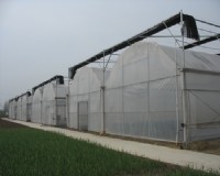 蒙城植保站生物预警温室