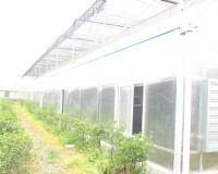 舒城县舒丰现代农业科技园温室