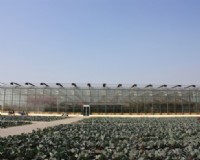 和县台创园温室餐厅