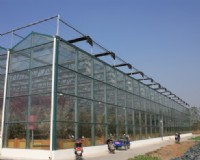 和县台创园温室餐厅