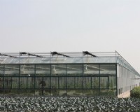 和县台创园蔬果展示温室