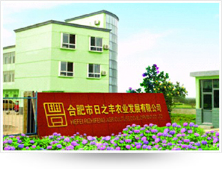 合肥市日之丰农业发展有限公司
