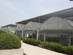 圆拱型PC板温室