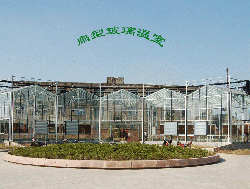 扇型玻璃温室温