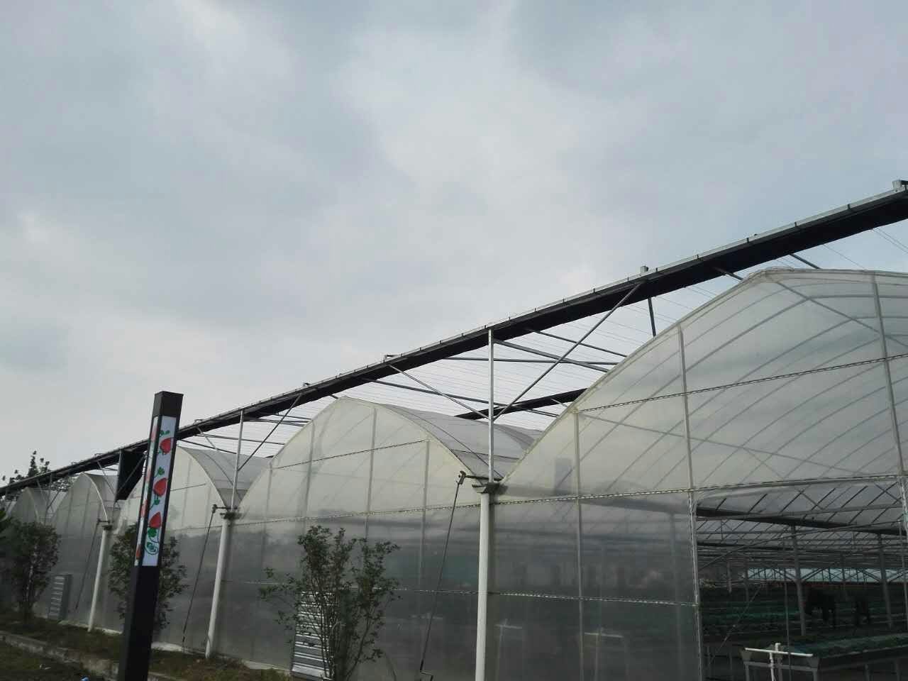 长丰草莓三新技术示范园