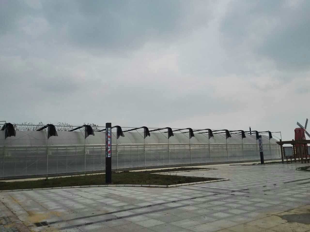 长丰草莓三新支术示范园