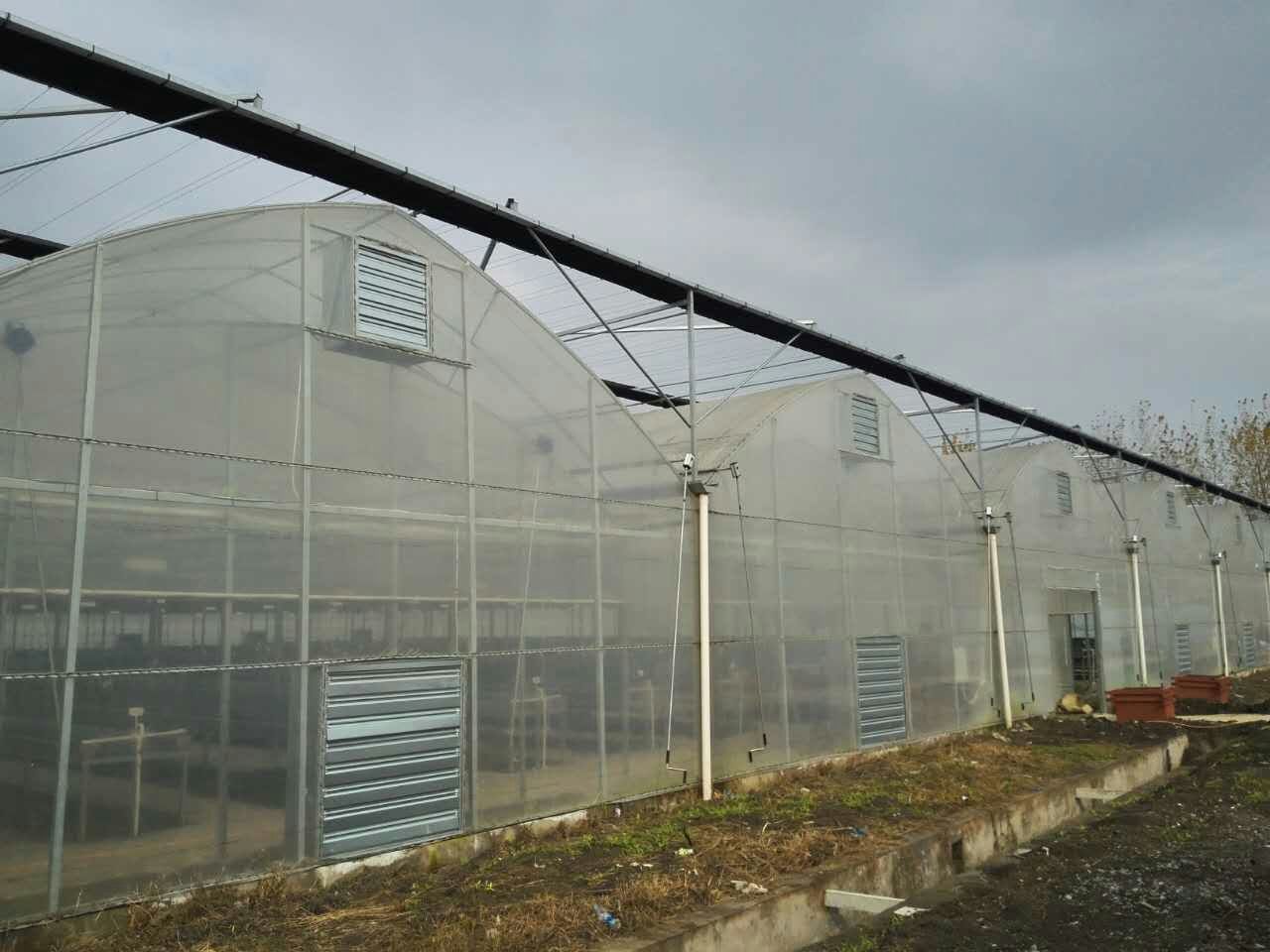 长丰草莓三新技术示范园
