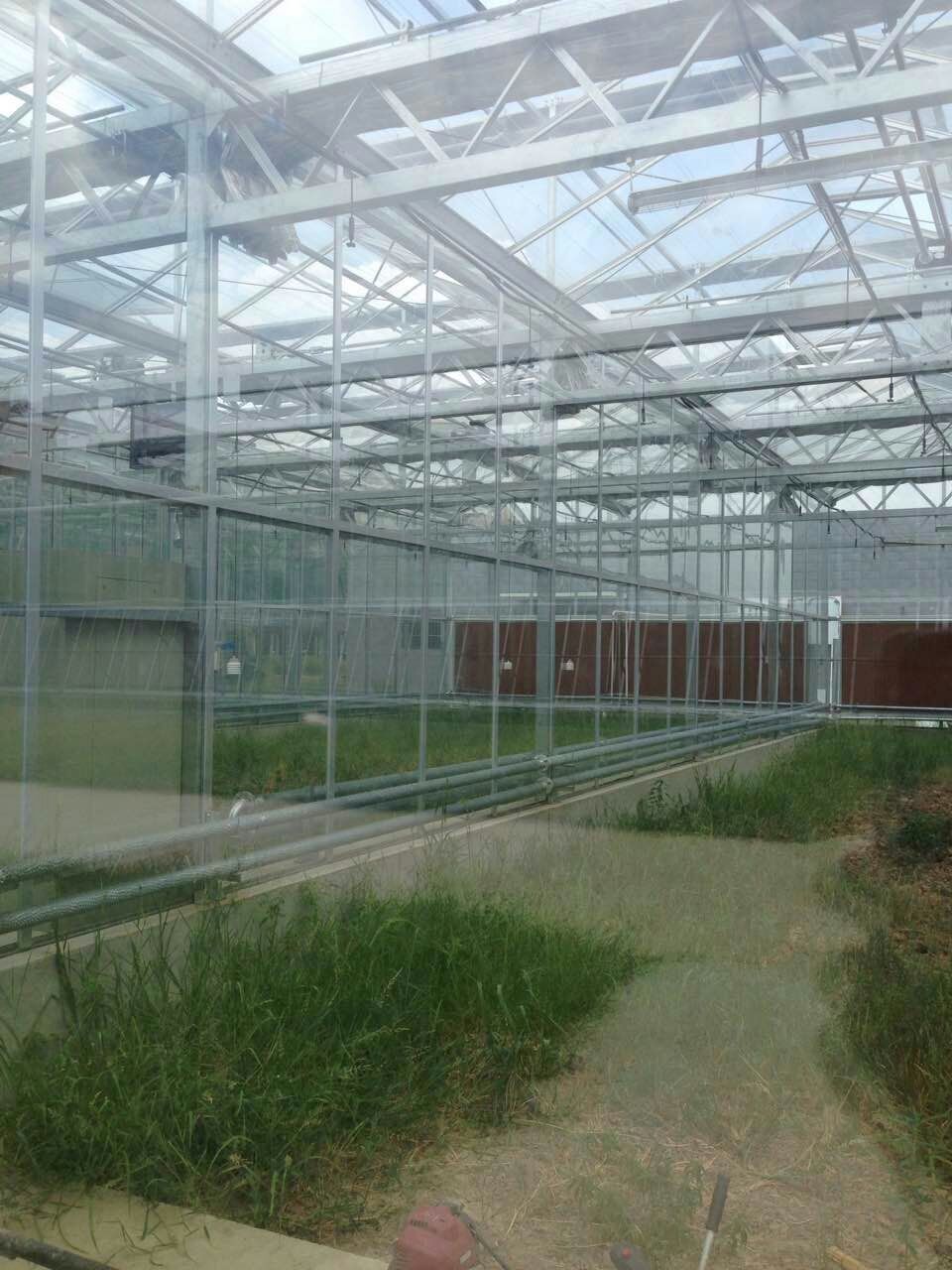 安徽省农业科学院作物所田间工程