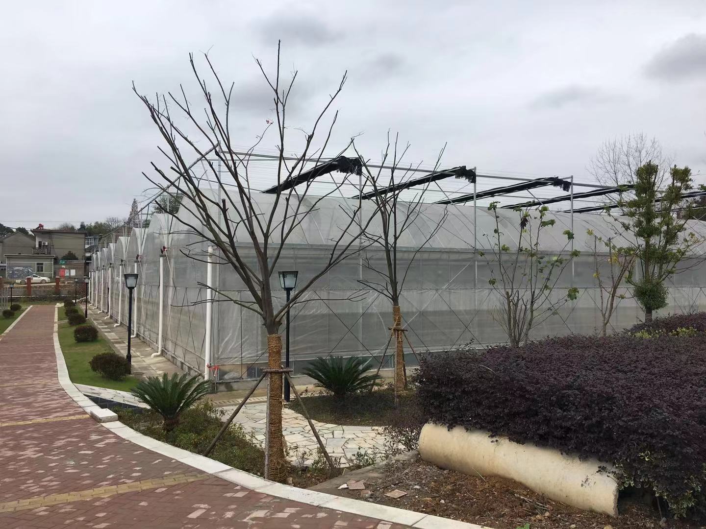 马鞍山中学生实验基地