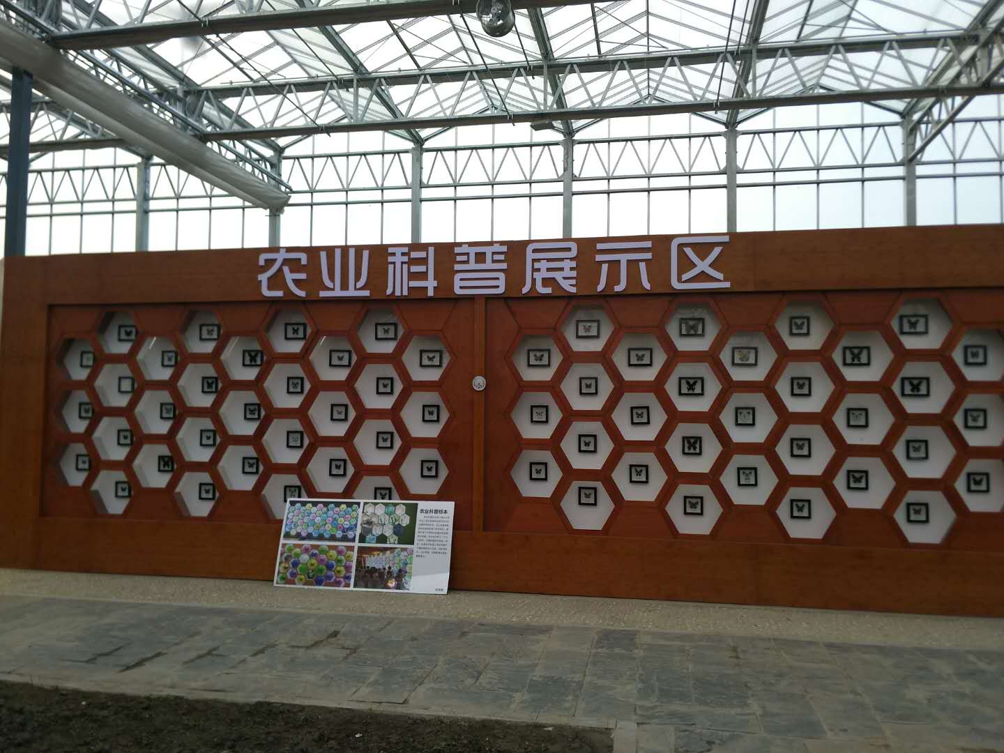 芜湖六郎生态园项目