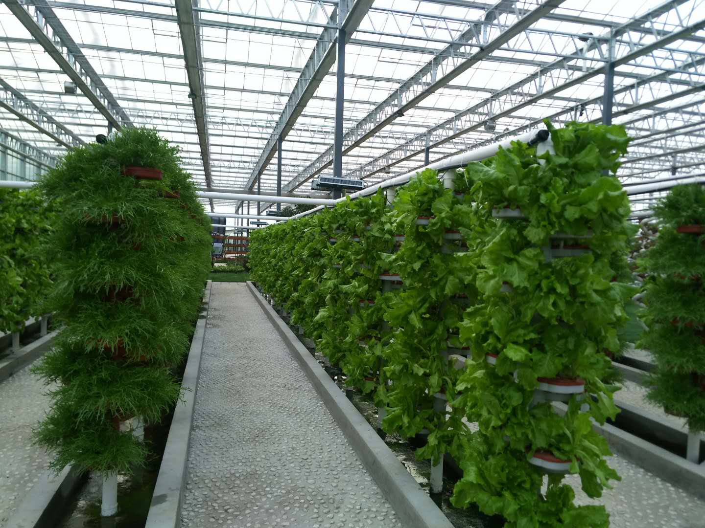芜湖六郎生态园项目