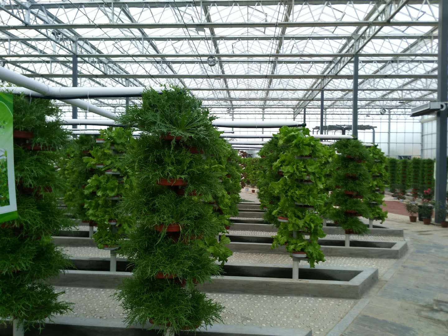 芜湖六郎生态园项目