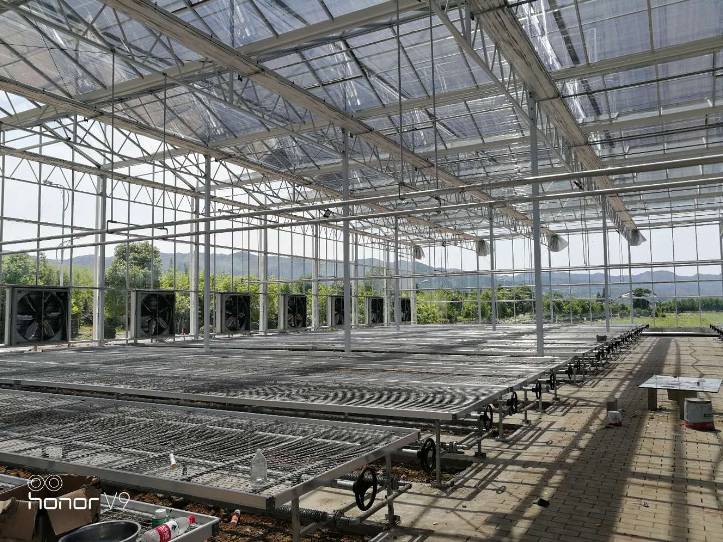 铜陵老洲示范连栋大棚现场